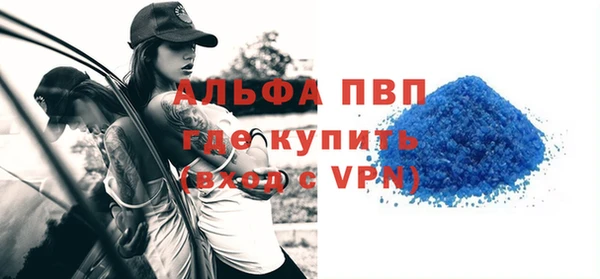 индика Туринск