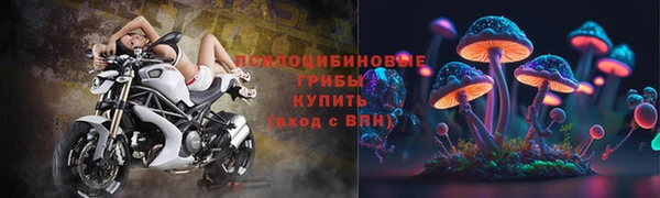 индика Туринск