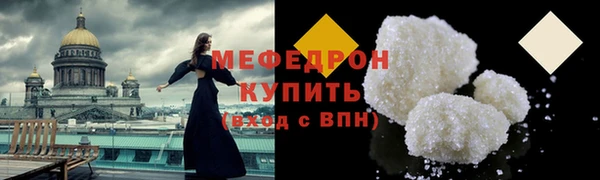 индика Туринск