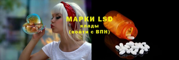 стафф Богданович
