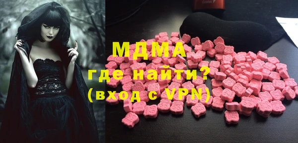 индика Туринск