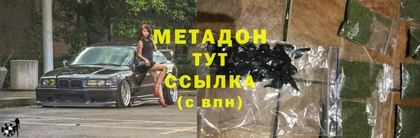 индика Туринск