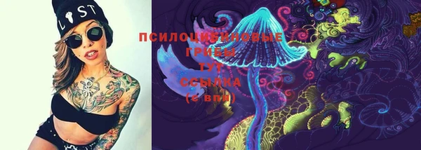 стафф Богданович