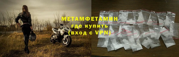 индика Туринск
