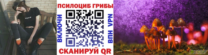 Галлюциногенные грибы мицелий Люберцы